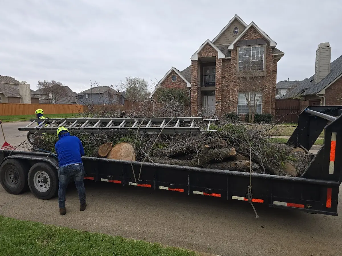 Expert Lot Clearing with proper safety equipment in Mclean